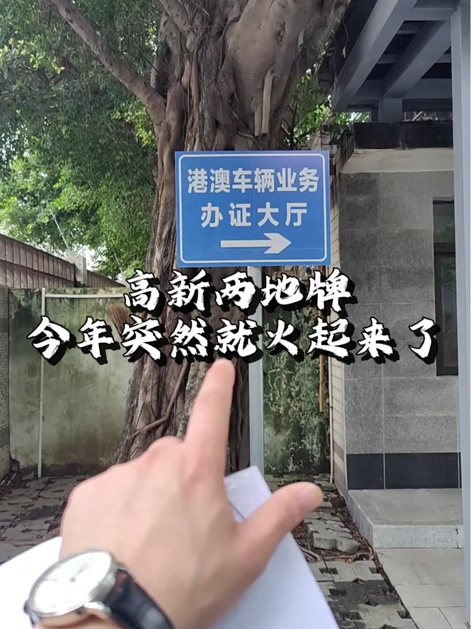 高新两地牌今年突然就火起来了
