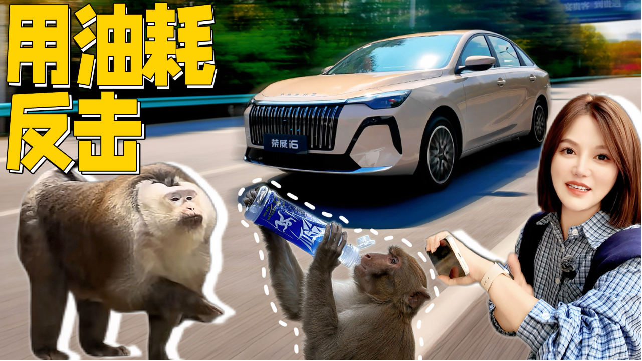 跑山看猴测油耗，谁说油车不智能？...