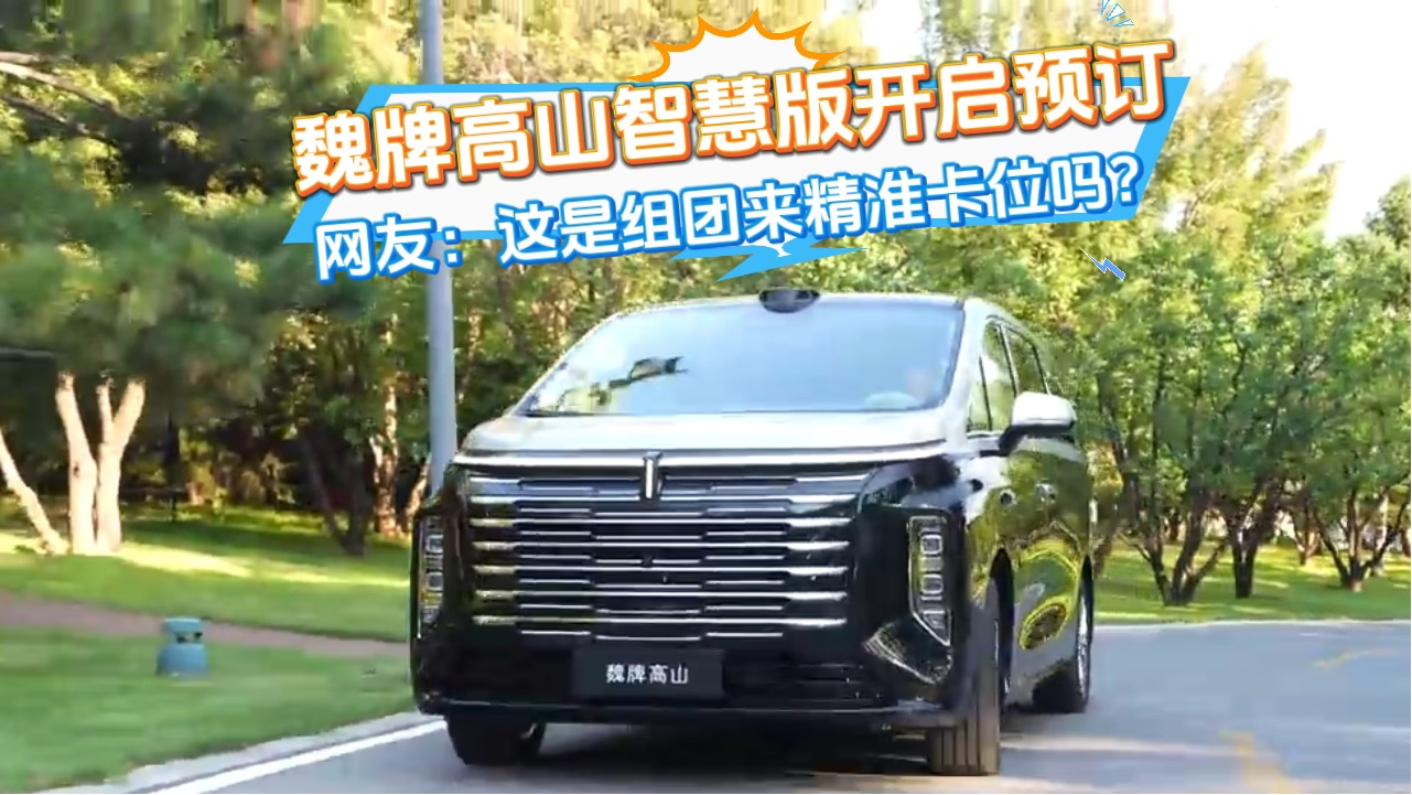 魏牌高山智慧版开启预订，网友：这...