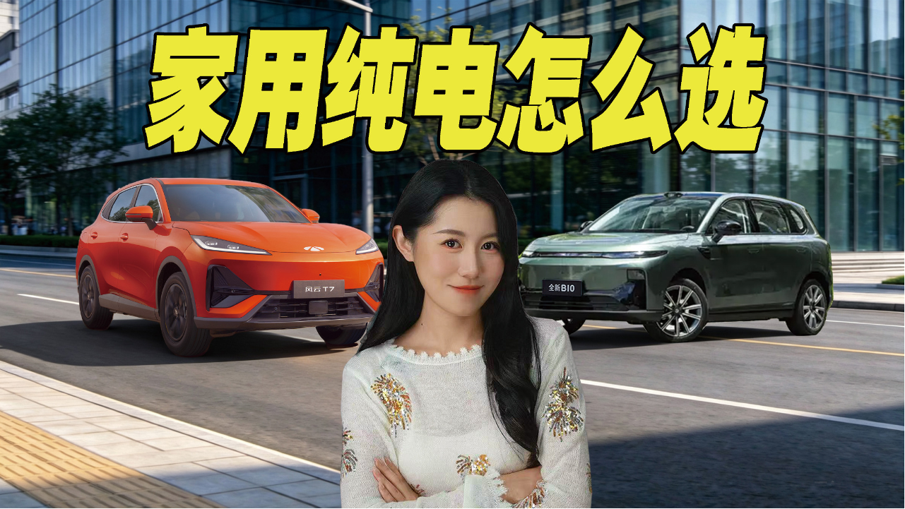 花花市场迷人眼 家用纯电看周全