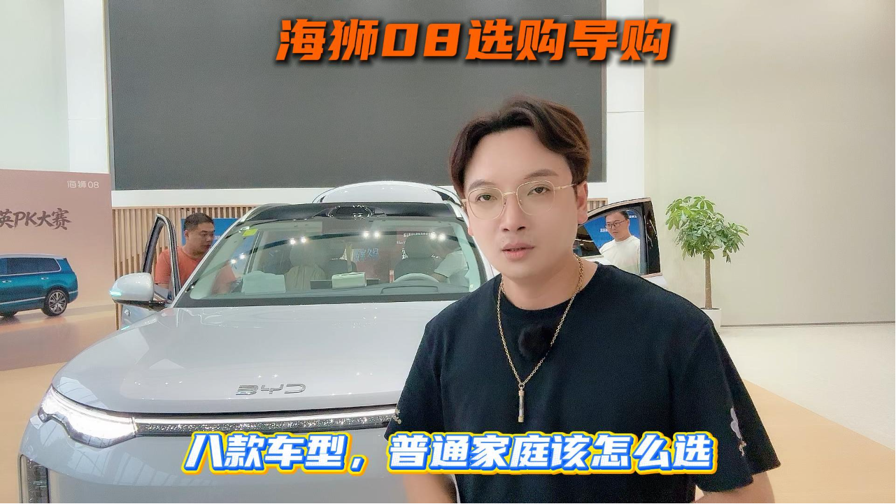 海狮08选购导购：八款车型，普通家...