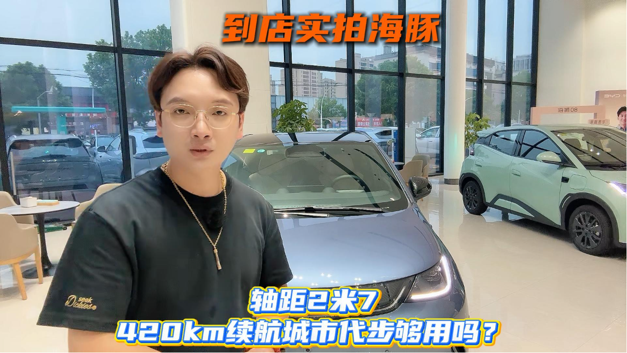 到店实拍海豚：轴距2米7，420km续航...