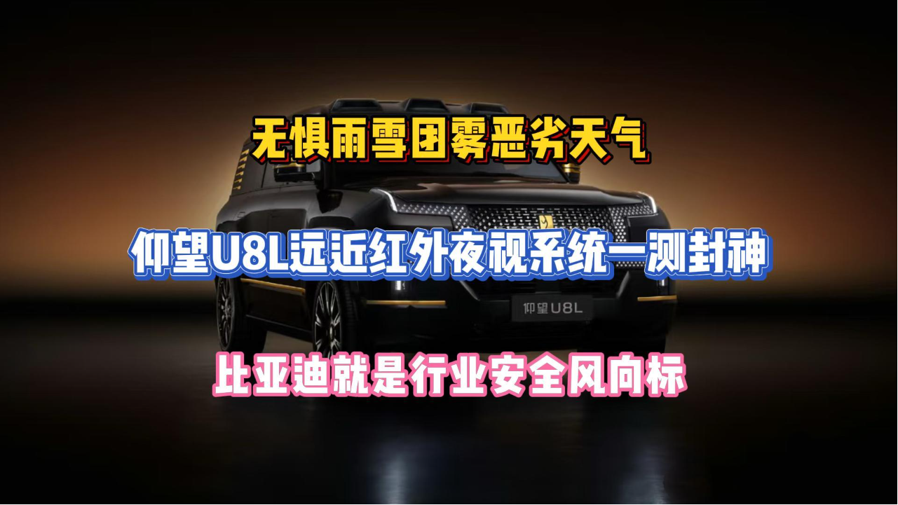 无惧雨雪团雾，仰望U8L红外夜视系统...