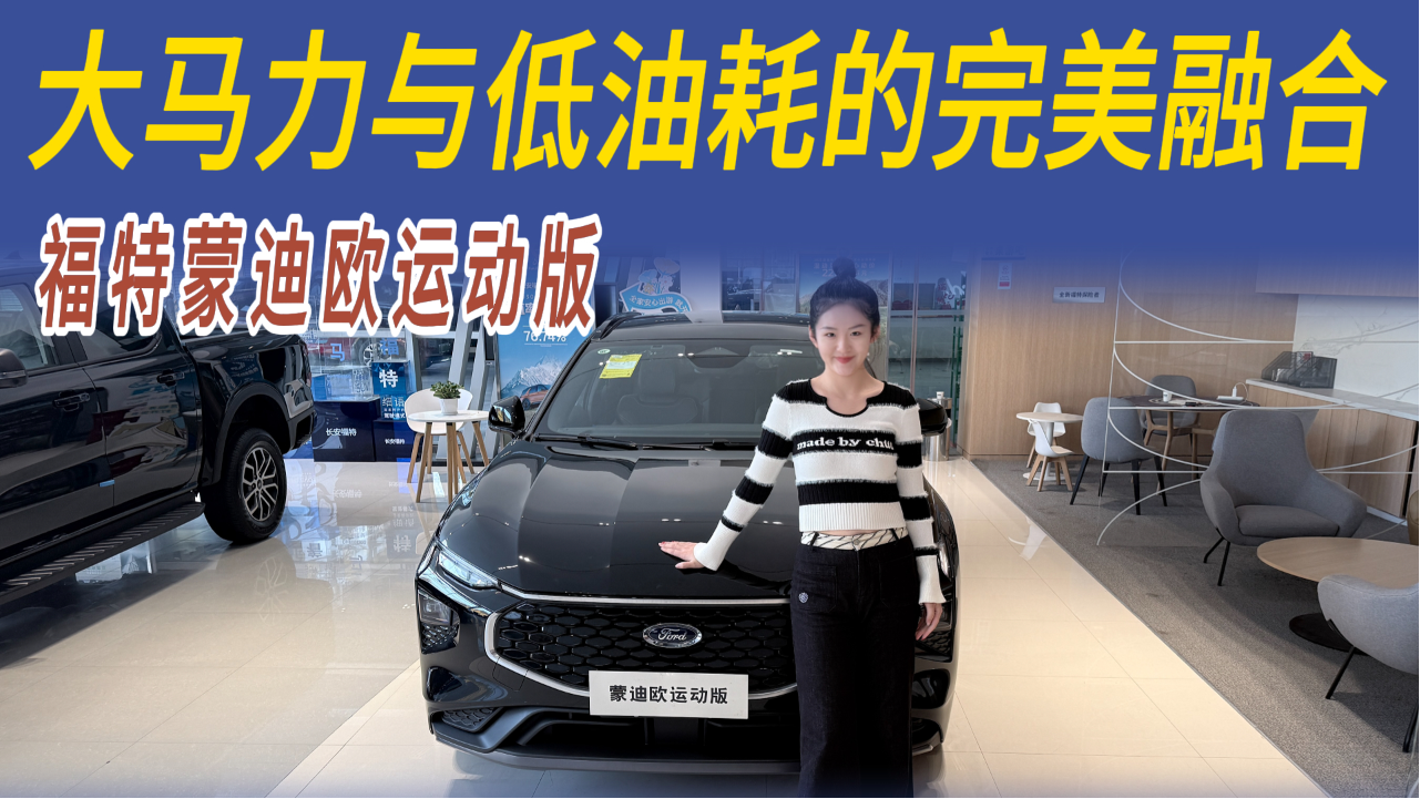 合资品牌中少数在性能和节能间找到...