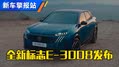 纯电轿跑SUV！全新标致E-3008发布